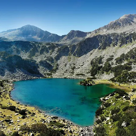Dedo Pene 2* Bansko