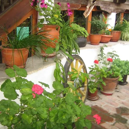 Dedo Pene Guest house