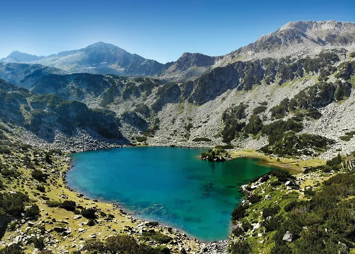 Dedo Pene 2* 반스코