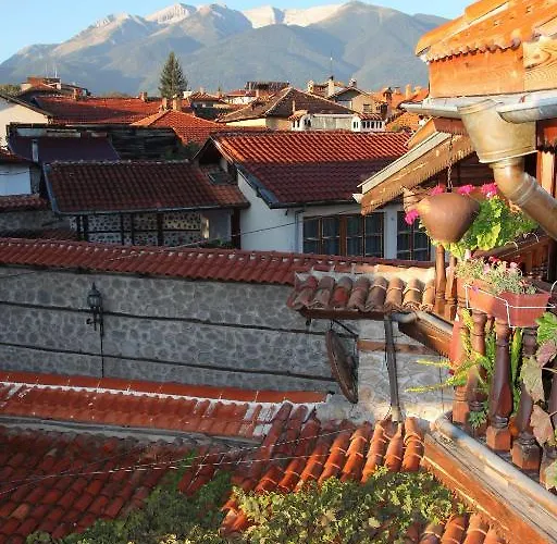 Dedo Pene 2* 반스코