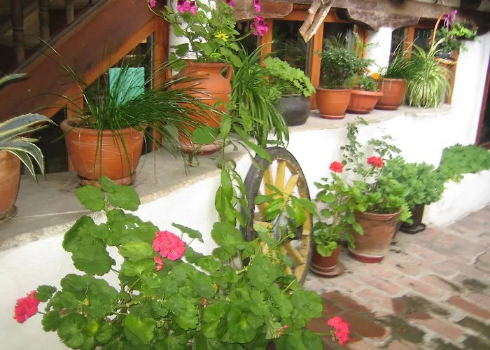 Dedo Pene 게스트하우스