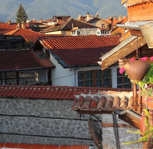 Dedo Pene Pensión 2*