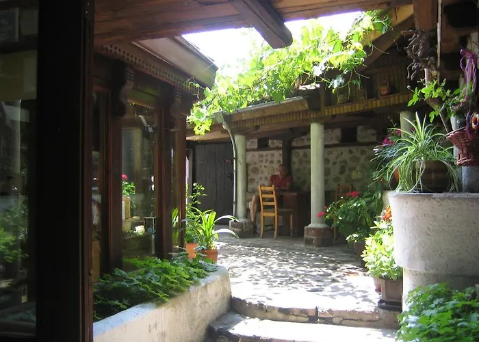 Dedo Pene 2* 반스코